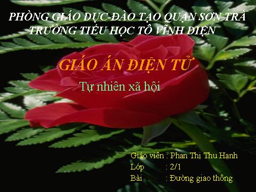 Bài 19. Đường giao thông