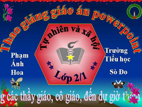Bài 14. Phòng tránh ngộ độc khi ở nhà