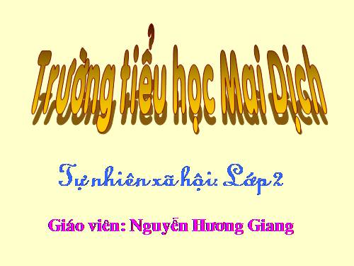 Bài 27. Loài vật sống ở đâu?