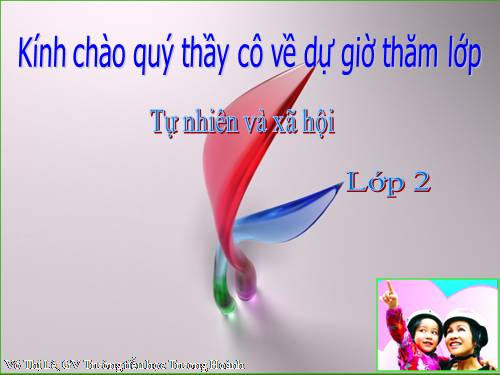 Bài 20. An toàn khi đi các phương tiện giao thông