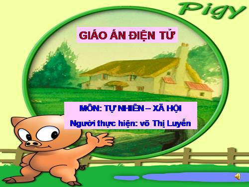 Bài 17. Phòng tránh ngã khi ở trường