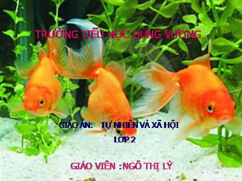 Bài 29. Một số loài vật sống dưới nước