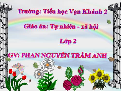 Bài 28. Một số loài vật sống trên cạn
