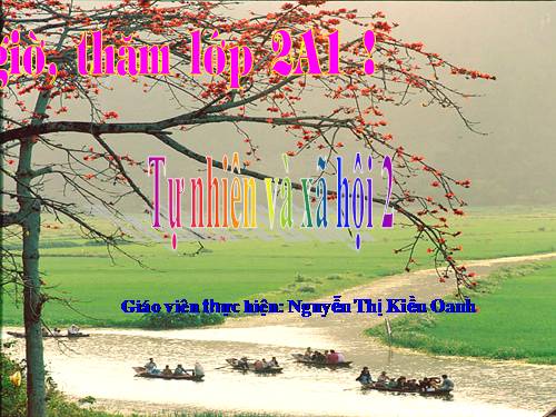 Bài 25. Một số loài cây sống trên cạn