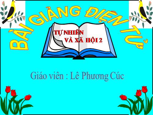 Bài 29. Một số loài vật sống dưới nước