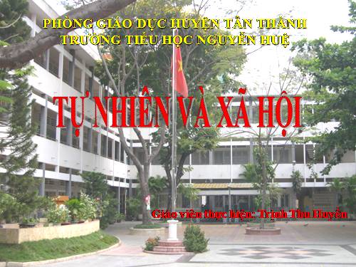 Bài 20. An toàn khi đi các phương tiện giao thông