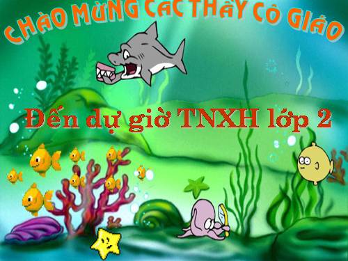 Bài 29. Một số loài vật sống dưới nước