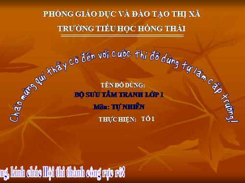 TNXM lop 1