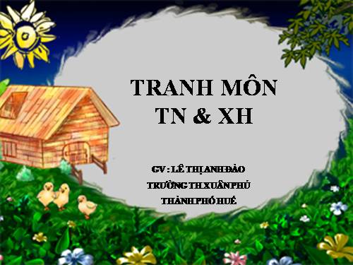 TRANH ẢNH MÔN TN & XH LỚP 2