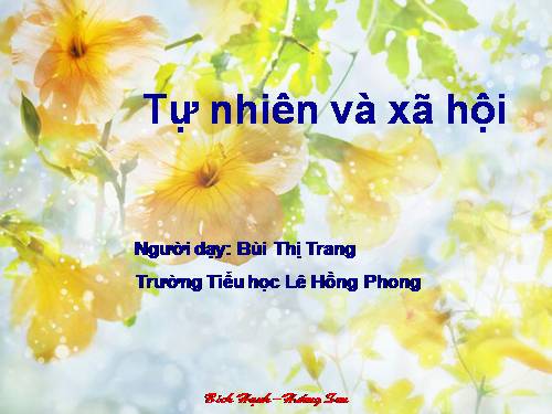 Bài 26. Một số loài cây sống dưới nước