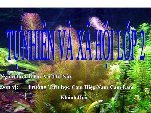 Bài 26. Một số loài cây sống dưới nước