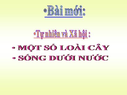 Bài 26. Một số loài cây sống dưới nước