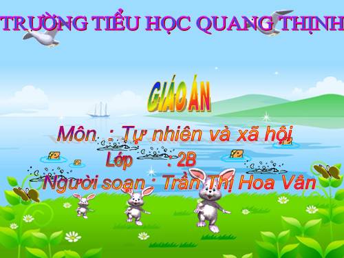Bài 27. Loài vật sống ở đâu?
