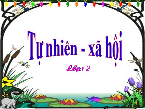 Bài 24. Cây sống ở đâu?
