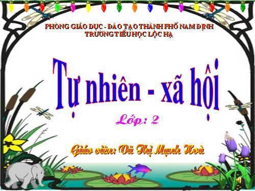 Bài 24. Cây sống ở đâu?