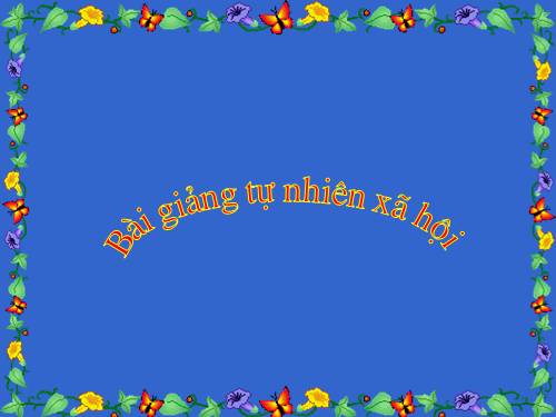 Bài 28. Một số loài vật sống trên cạn