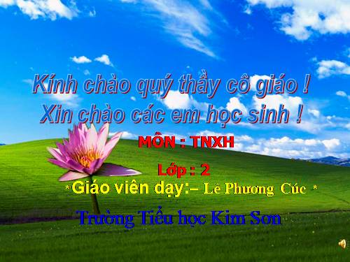 Bài 25. Một số loài cây sống trên cạn
