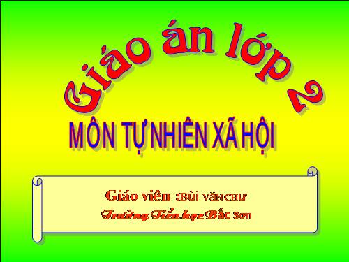 Bài 9. Đề phòng bệnh giun