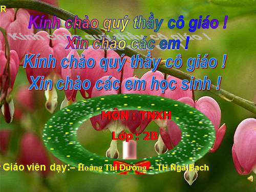 Bài 25. Một số loài cây sống trên cạn