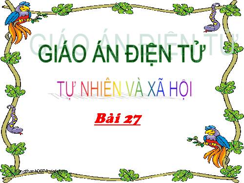 Bài 27. Loài vật sống ở đâu?