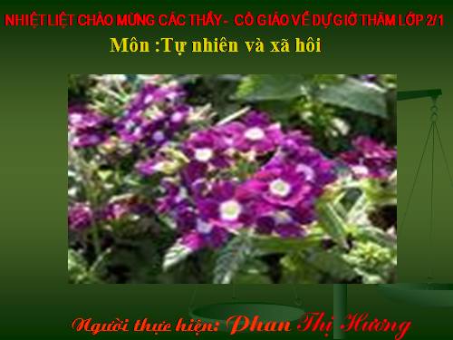 Bài 17. Phòng tránh ngã khi ở trường