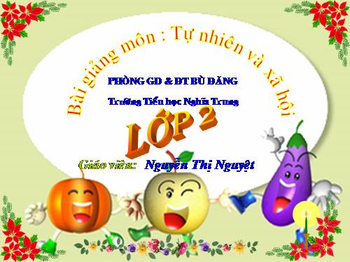 Bài 28. Một số loài vật sống trên cạn