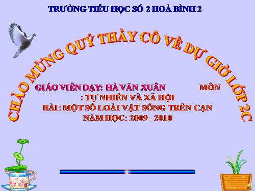 Bài 28. Một số loài vật sống trên cạn