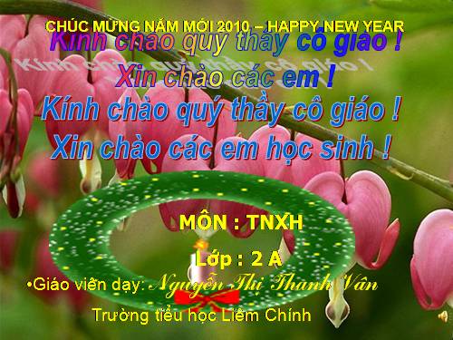 Bài 25. Một số loài cây sống trên cạn
