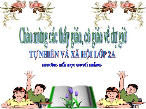 Bài 24. Cây sống ở đâu?