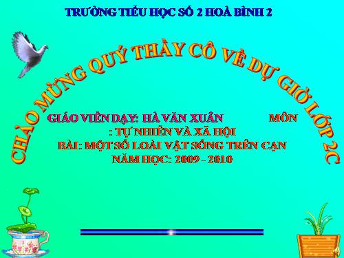Bài 28. Một số loài vật sống trên cạn
