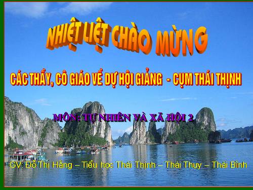 Bài 30. Nhận biết cây cối và các con vật
