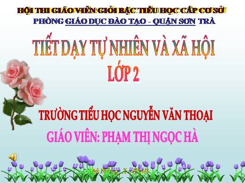 Bài 25. Một số loài cây sống trên cạn