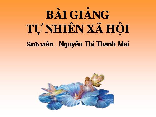 Bài 27. Loài vật sống ở đâu?