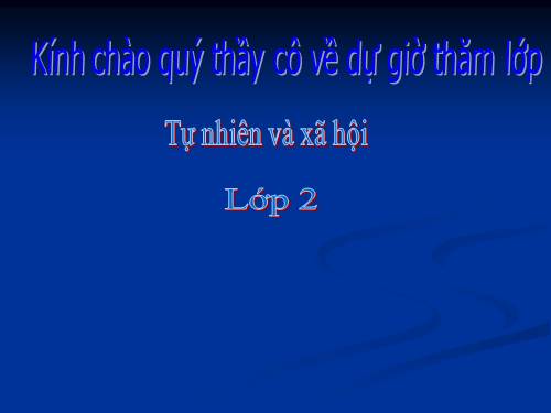 Bài 20. An toàn khi đi các phương tiện giao thông