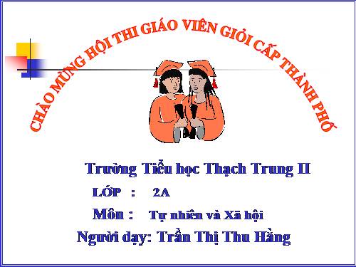 Bài 25. Một số loài cây sống trên cạn