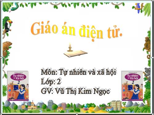 Bài 16. Các thành viên trong nhà trường