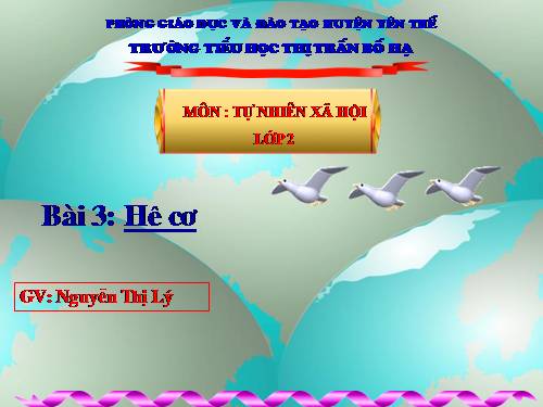 Bài 3. Hệ cơ