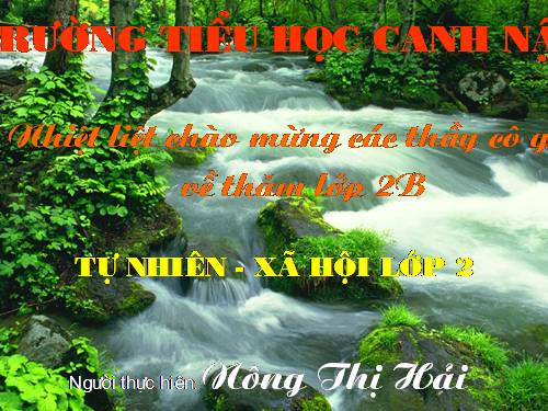 Bài 11. Gia đình