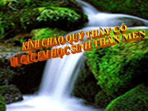 Bài 28. Một số loài vật sống trên cạn