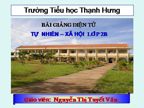 Bài 16. Các thành viên trong nhà trường