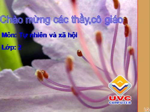 Bài 11. Gia đình