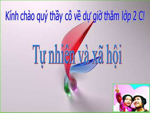 Bài 20. An toàn khi đi các phương tiện giao thông