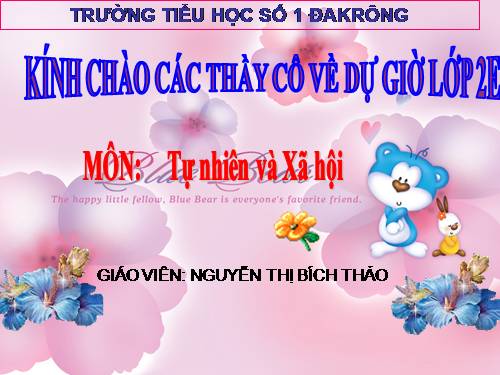 Bài 11. Gia đình