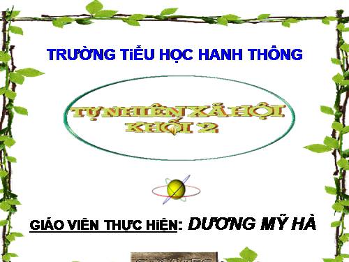 Bài 31. Mặt Trời