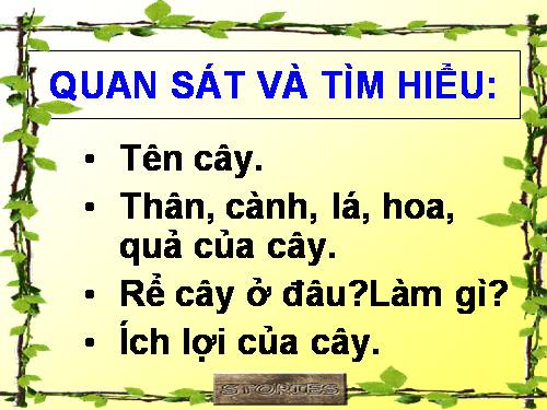 Bài 25. Một số loài cây sống trên cạn