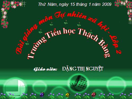 Bài 19. Đường giao thông