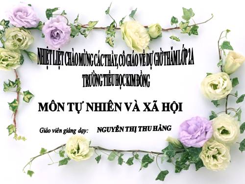 Bài 22. Cuộc sống xung quanh (tiếp theo)