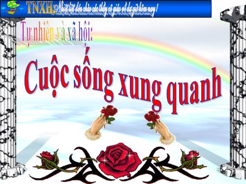 Bài 21. Cuộc sống xung quanh