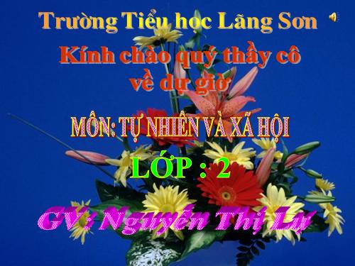 Bài 21. Cuộc sống xung quanh