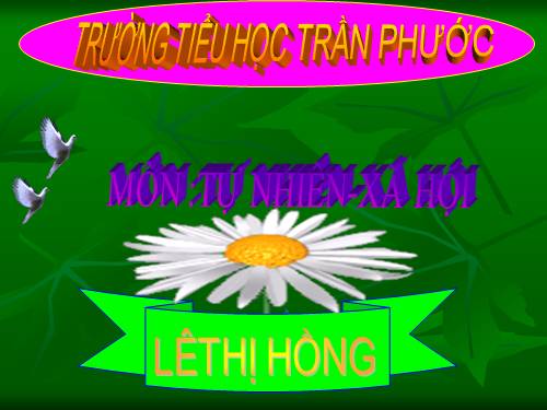 Bài 11. Gia đình